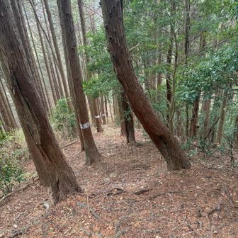 超～
激下り💦