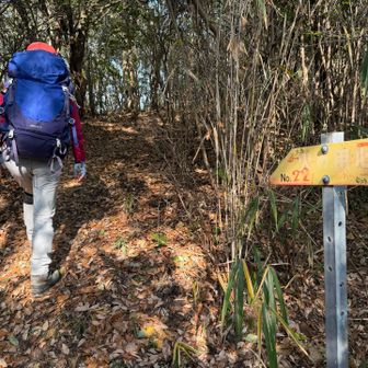 大鳥山へ向かう
あっ！ポールがないじゃん😱