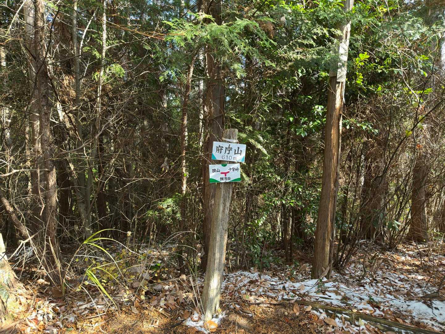 府庁山
