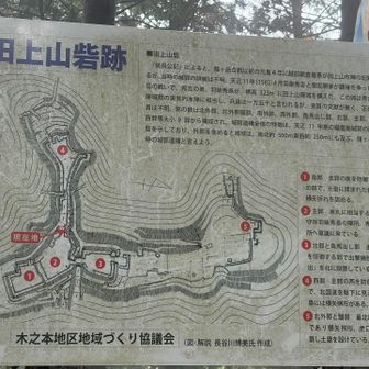 ここは実質的な秀吉軍の本陣　確かに。
