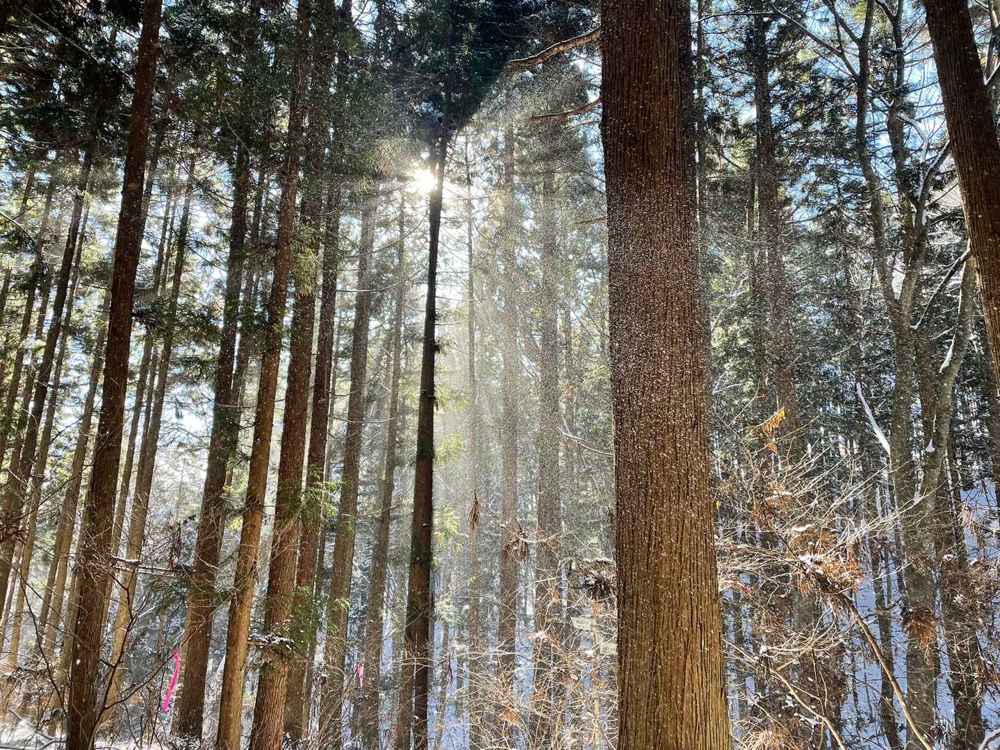 めちゃきれい。😊