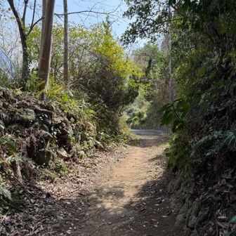 お、道路にでました