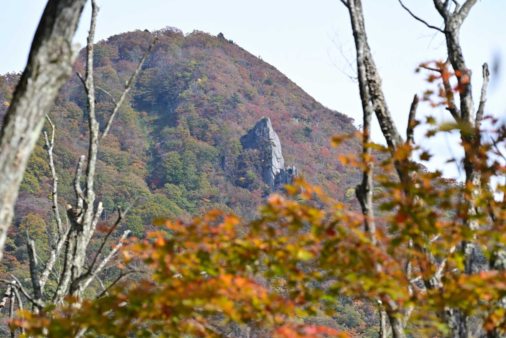 大黒岩の存在感がすごい