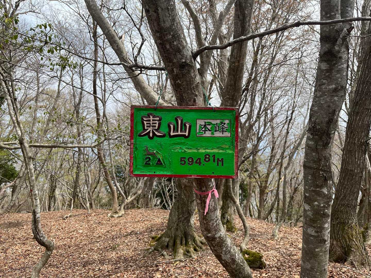東山(本峰)に登頂🎉
✳︎ここも眺めは疎林越し