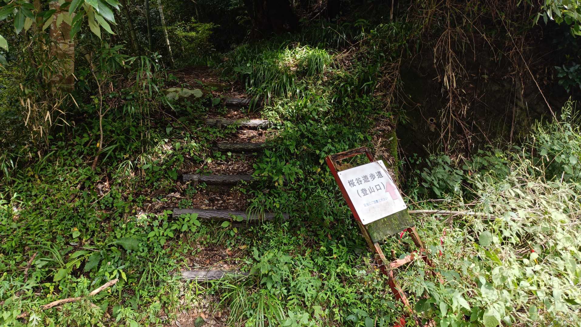 久しぶりの登山。桜谷登山口から登ります。