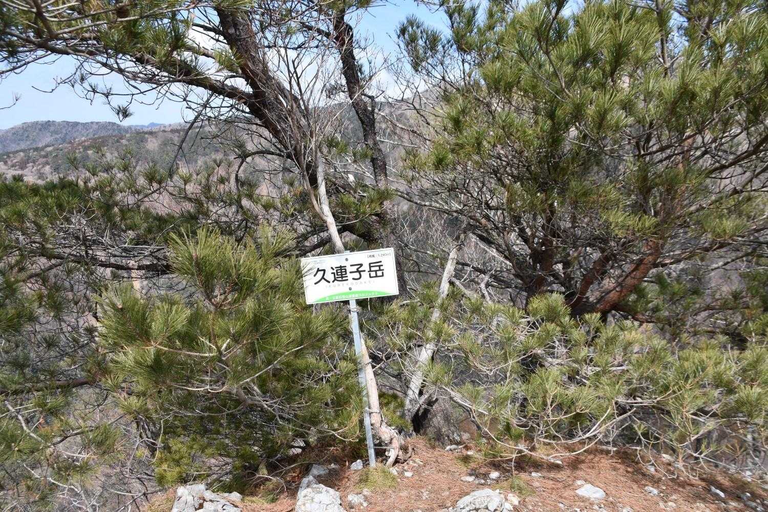 石灰岩が目立つ山頂、眺望良し