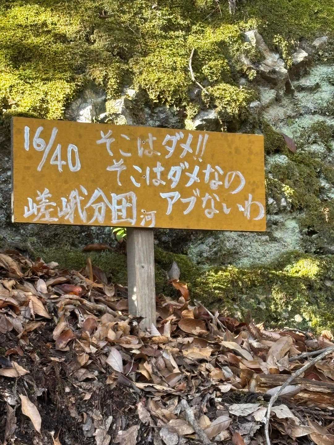 色んな看板が😊