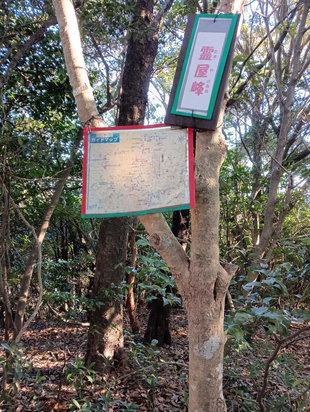 霊屋峰、山頂到着です。