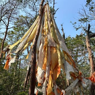 これは何？　パラシュート🪂で誰か降りてきた？