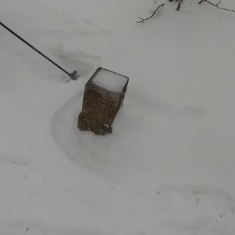 三角点
標識あるらしいけど埋まってあおました