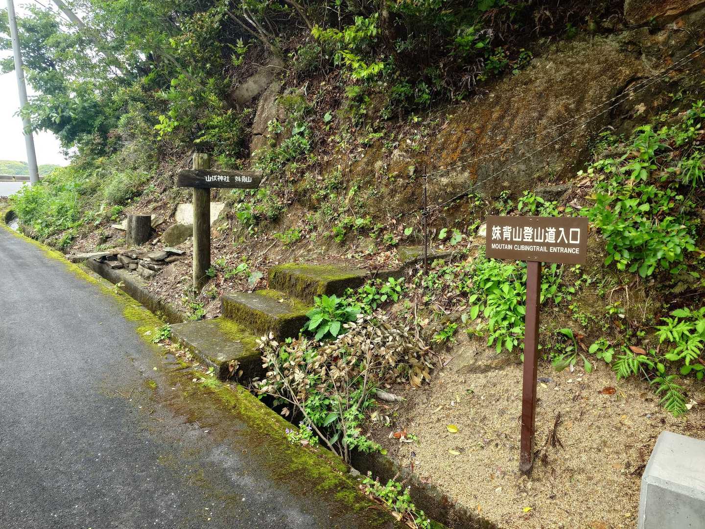 舗装された林道を登って、沖の島小中学校裏手から登山道に。