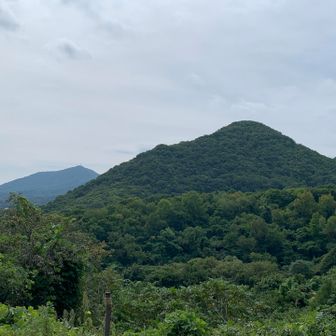 藻岩山と三角山