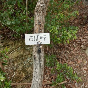 やっと吉川峠に戻ってきました