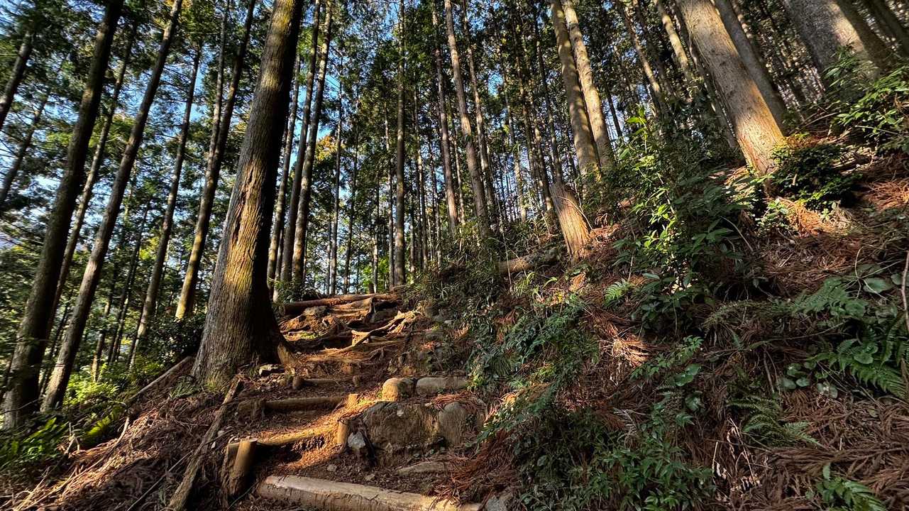 岩茸石山・棒ノ折山縦走 の写真 5