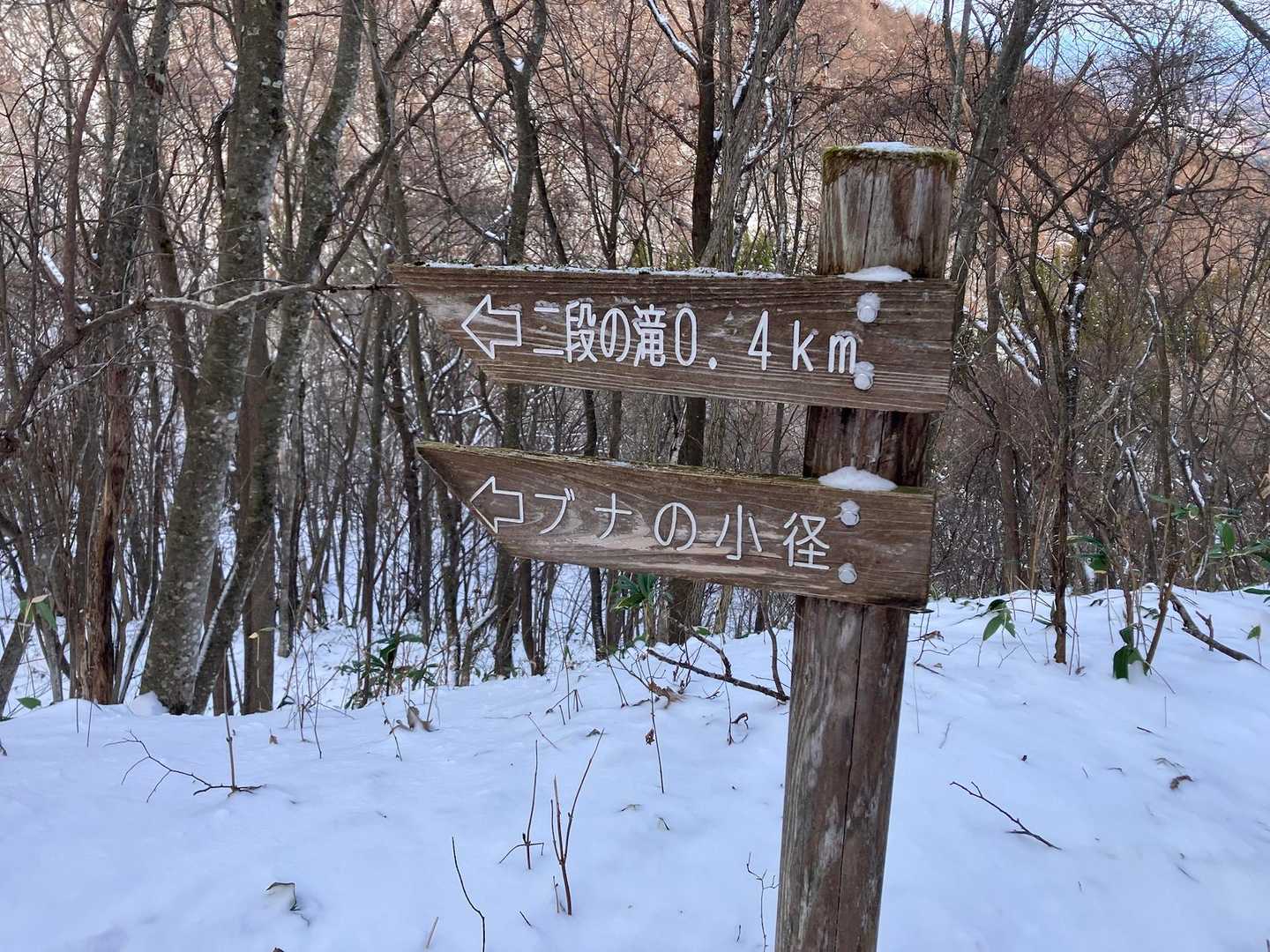 折爪岳 往復コースの写真