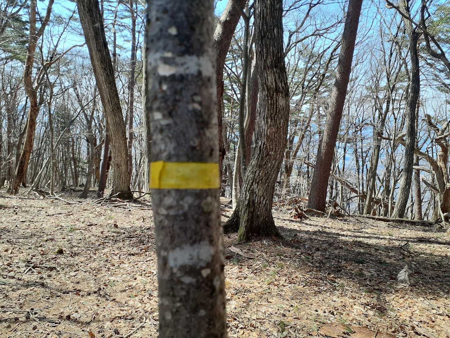吹返峰の山頂と思わしきテープ。
おかしいな…山名板あるはずなんだけど、見つけられなかった…