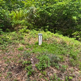 伊折山