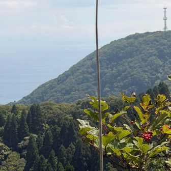 昨日の道に合流