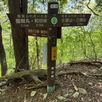 山ノ神から下山。