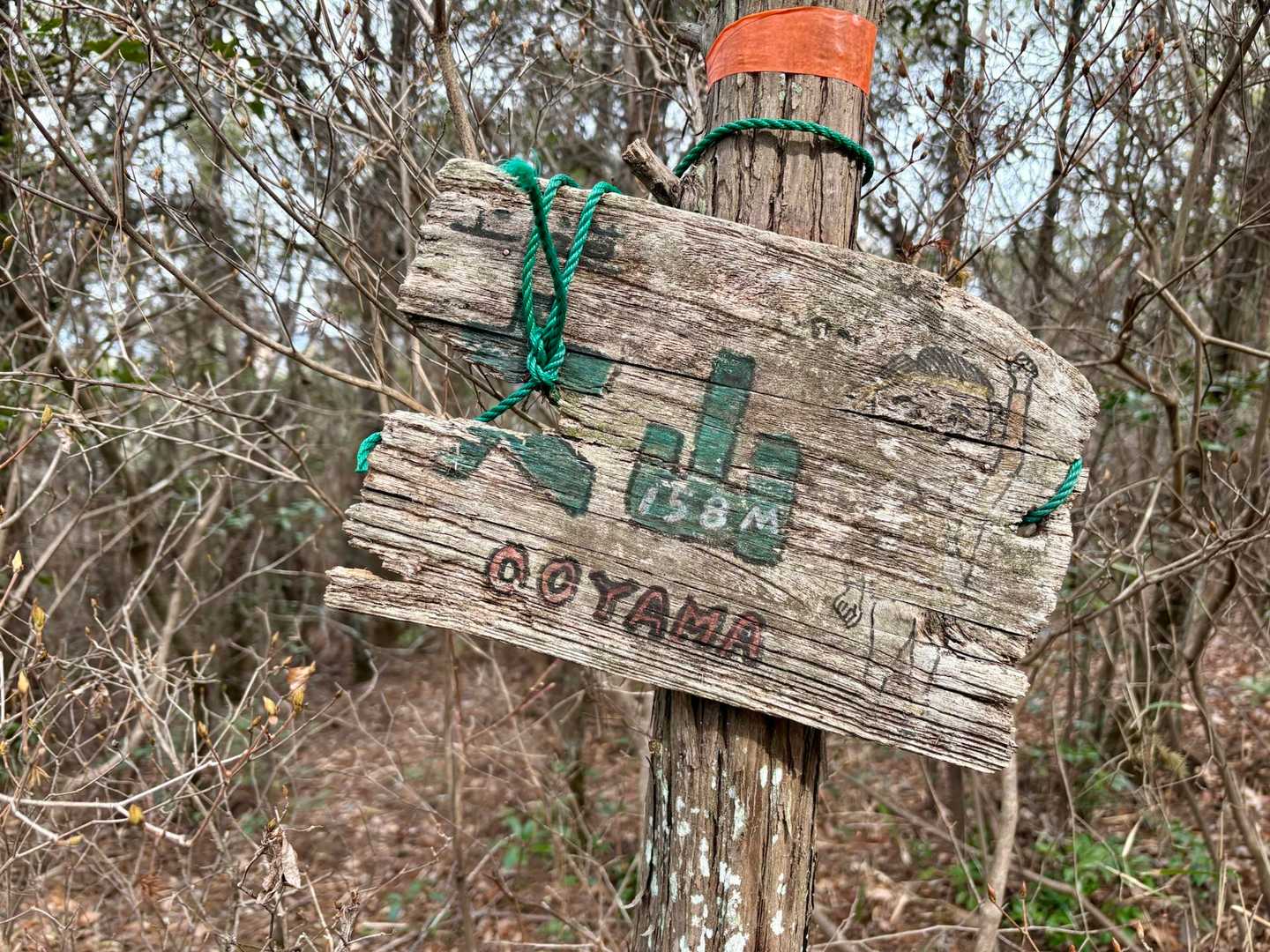 おおやま到着🪧

今日も道中ヒサカキが沢山咲いてました🌼