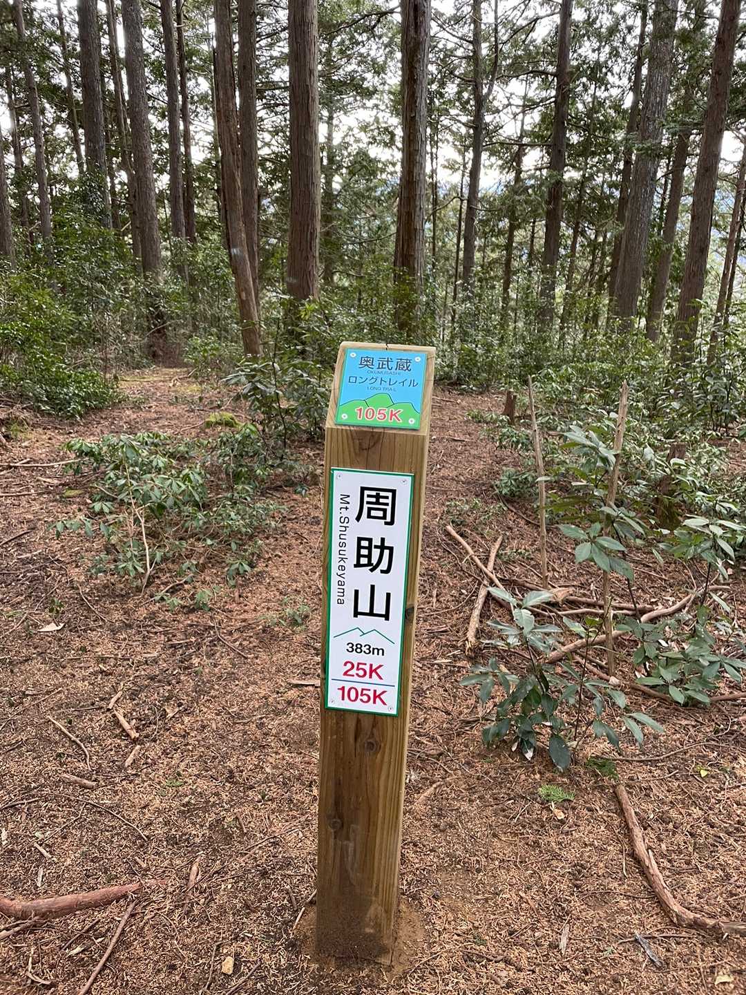 最後のピーク、周助山に無事到着しました。383m。