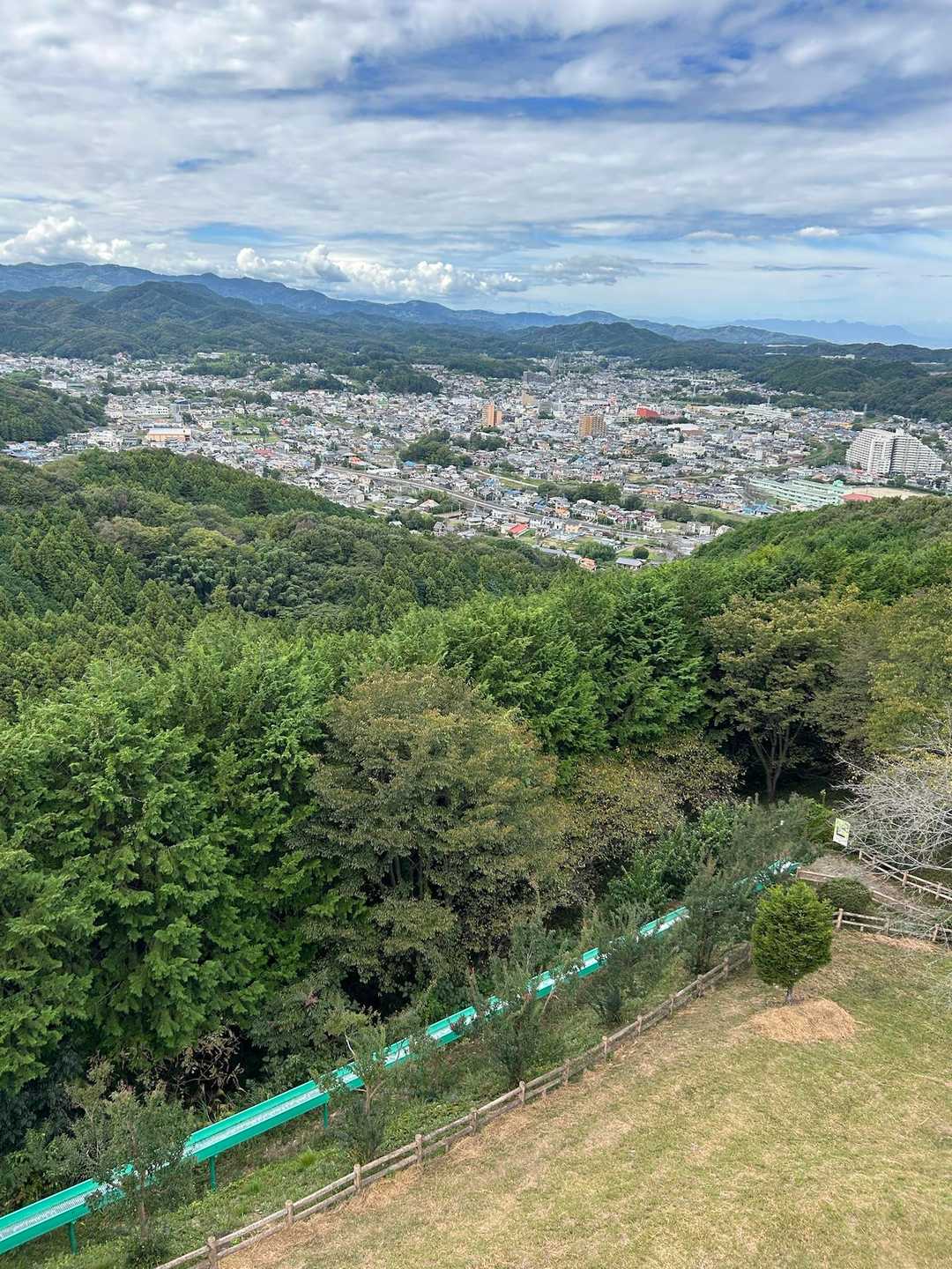 仙元山 往復コースの写真