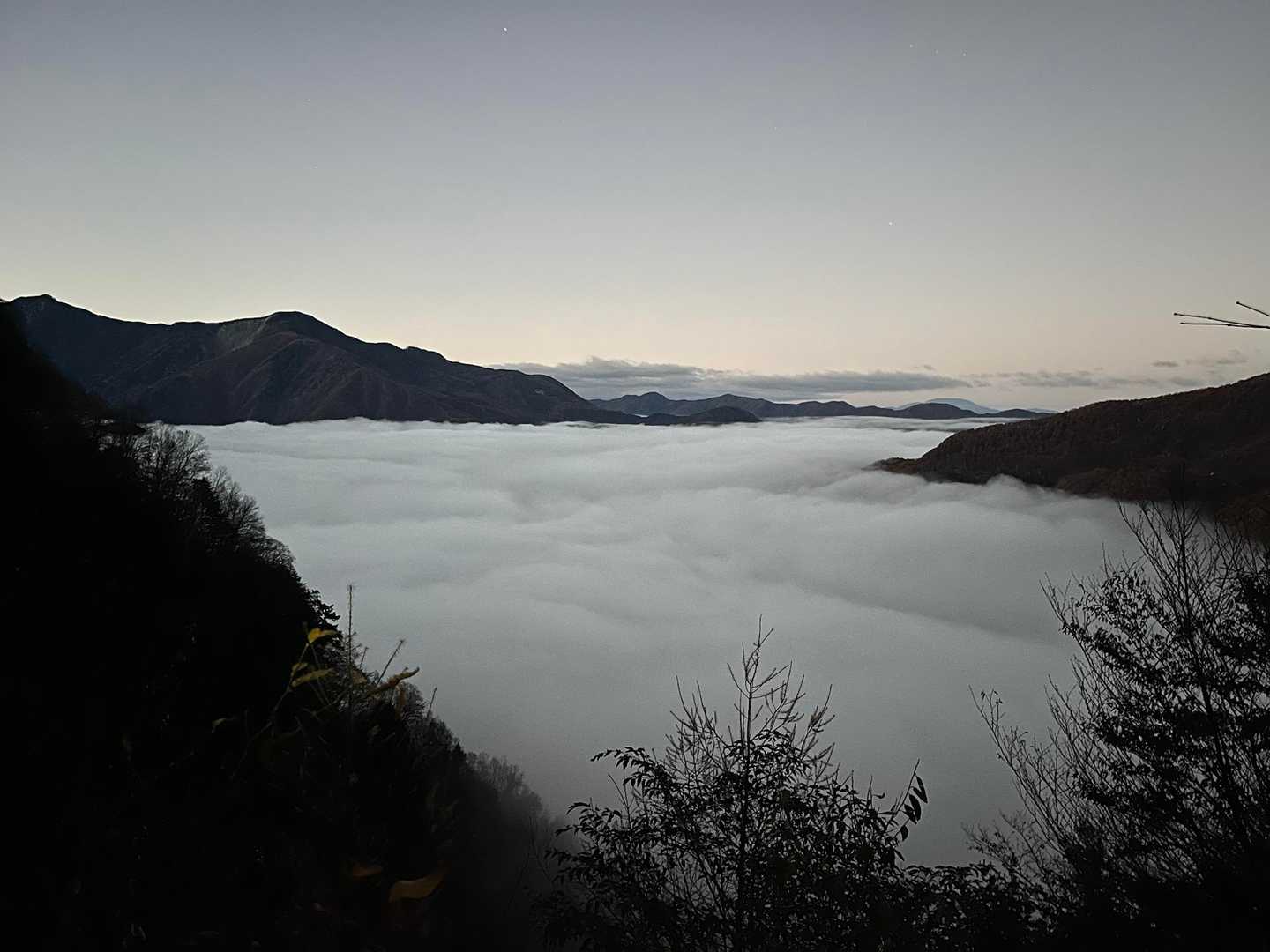 林道から凄い雲海。