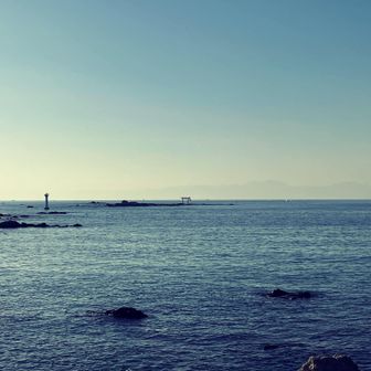海上鳥居のみを眺めます。