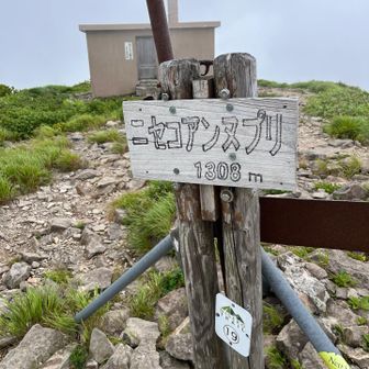 登頂！