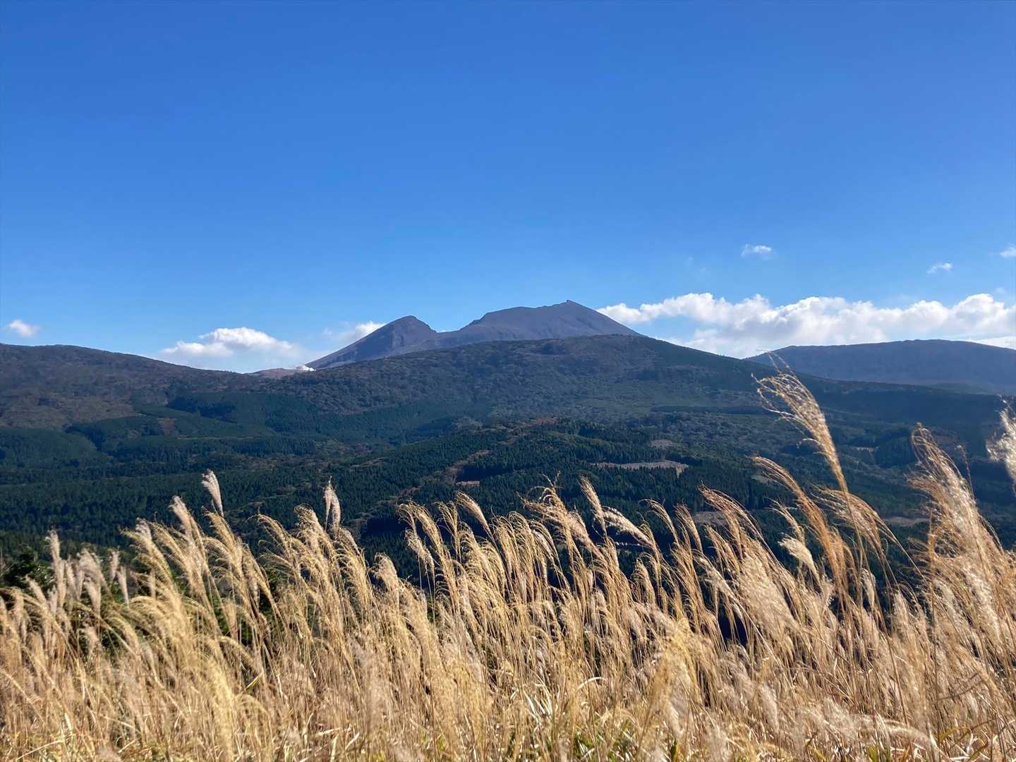 🌾越しの韓国岳