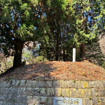 一本杉まで来た
一本じゃない😇
つか
スゲー疲れた
ハラヘッタ
昨夜から何も食ってない
もう下山しようかな
とりあえず休んで考えよう