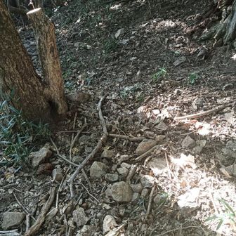 足元に気をつけないと滑りそう