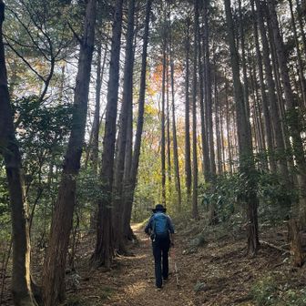 登山道に入りました