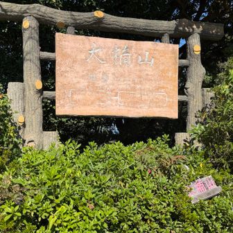 大楠山到着⛰️