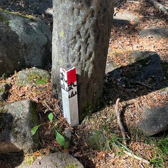 先ずは、丸山をゲット！