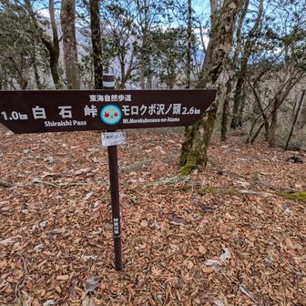 ナメクラ沢ノ頭を通過。道標が適当！（笑）小さなアップダウンが多くて疲れる…