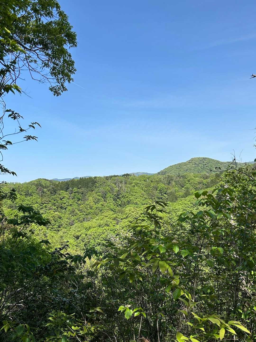 遣水観音山-遣水山観音堂 周回コースの写真