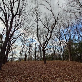 丸山山頂、プレート見つけられず