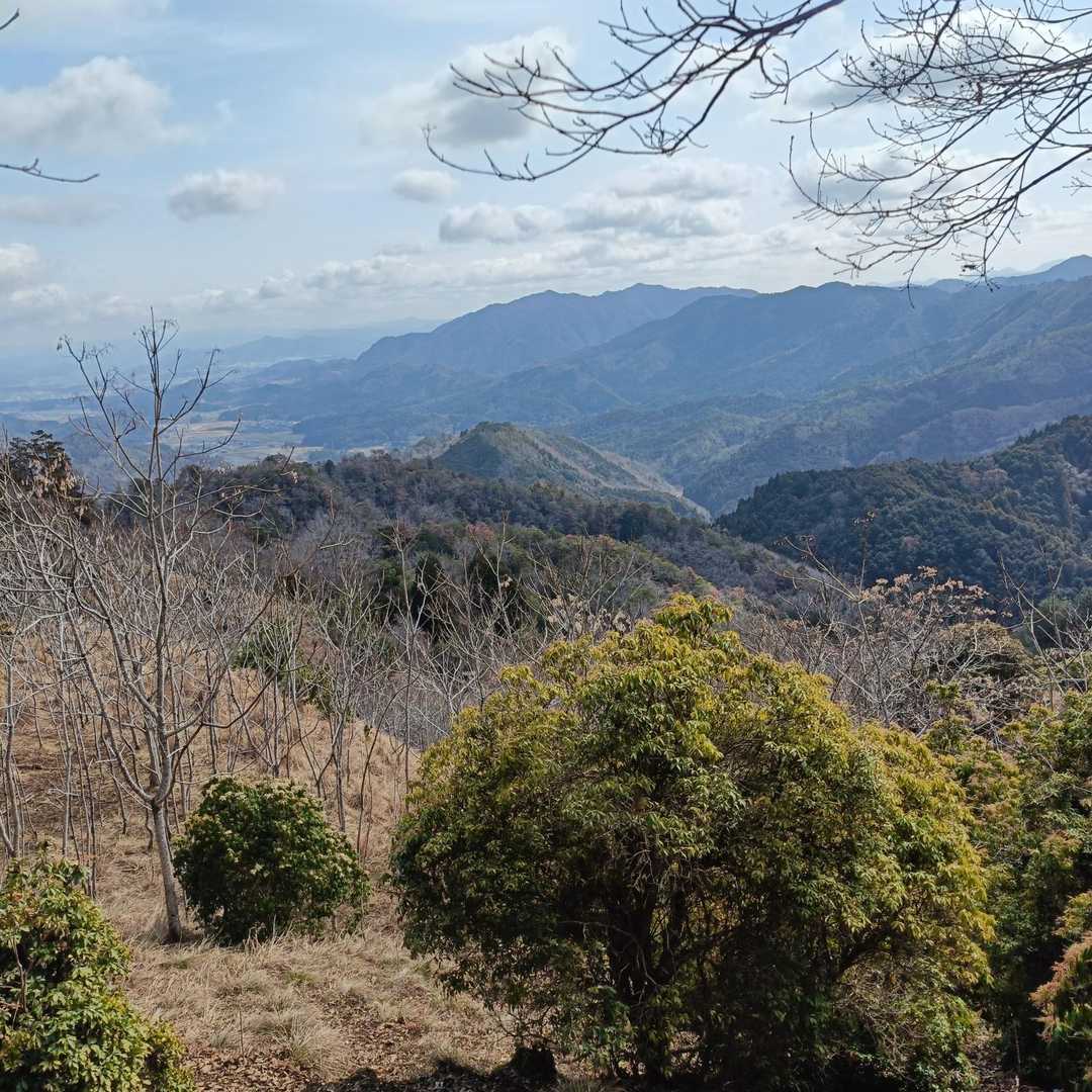 眺望が開けました🤗