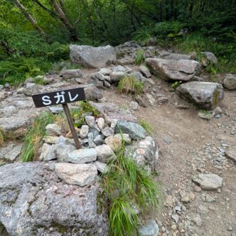よくわからない