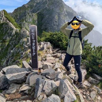 １匹ウルフちゃん🔰