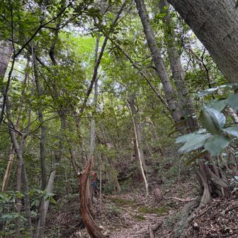 濡らしたひんやりタオルを首に巻いてきたので涼しくて快適〜