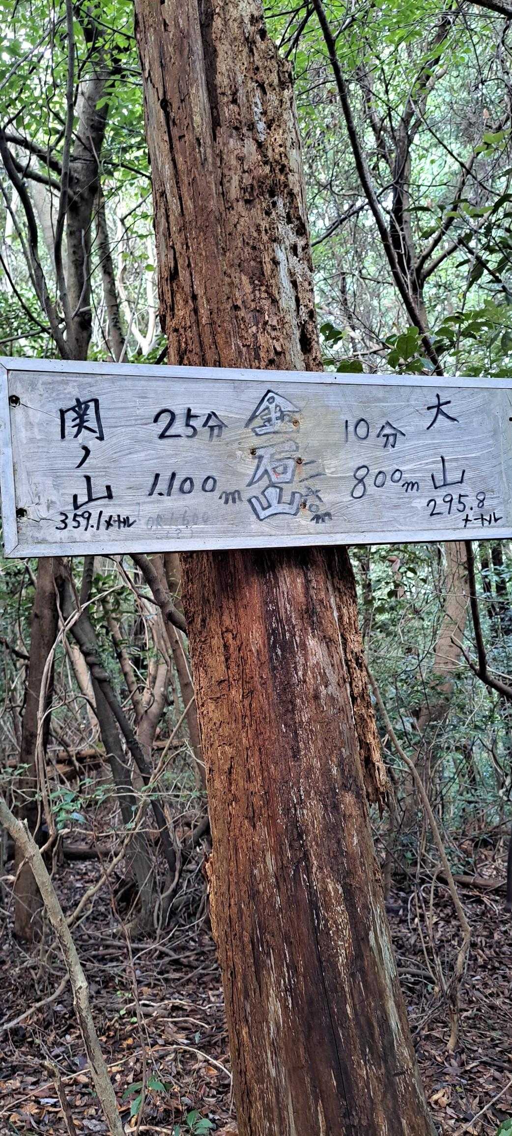 関の山登山口-関の山-大山 周回コースの写真