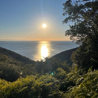 旧友との一年ぶりの話に花が咲き、いつの間にか日の出の高度が⁉️しかし、そのお陰で光に道が水面に👌