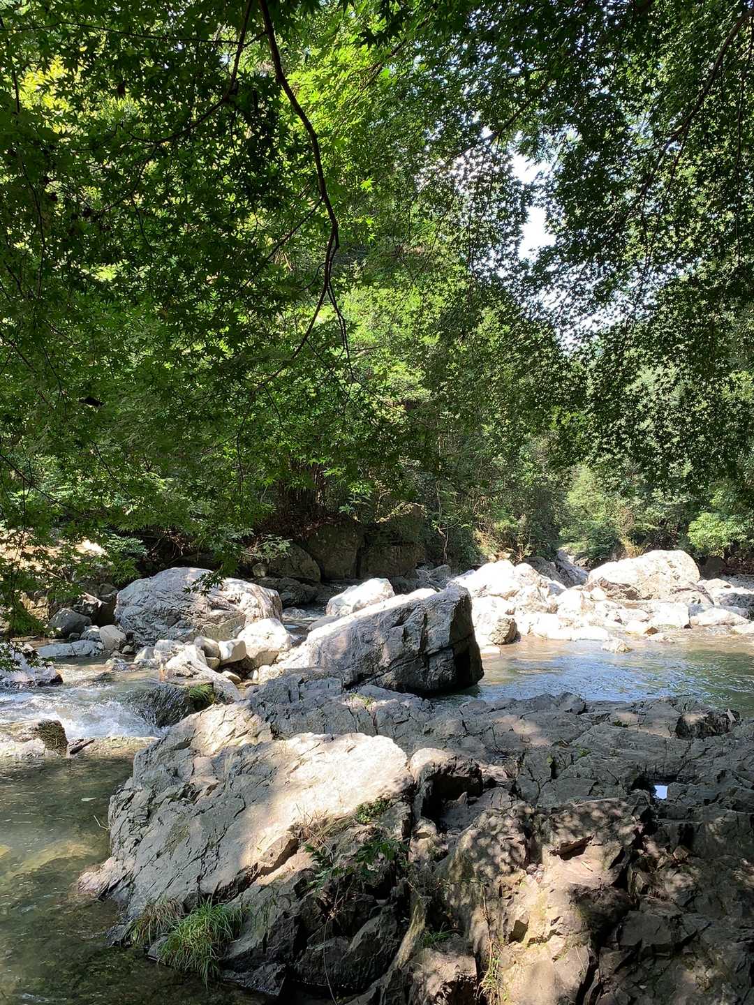 摂津峡が見えてきた
子供達が水遊び中
涼しそう〜いいなぁ〜