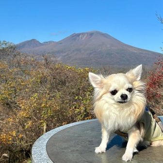 ペンタもうっとり🐶