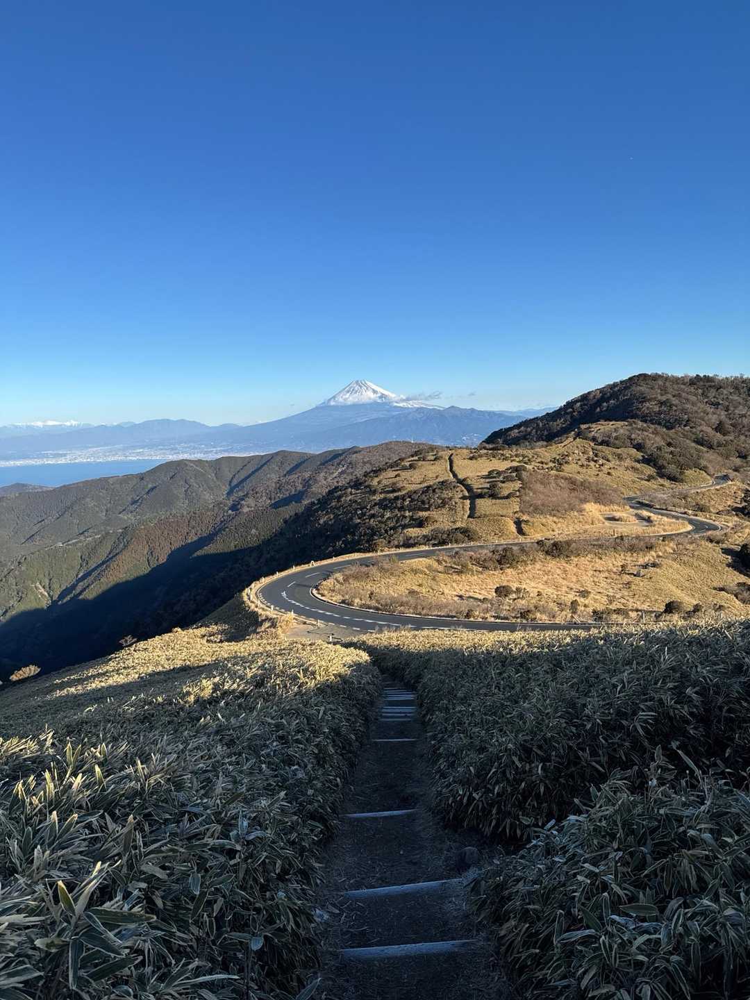金冠山〜小達磨山〜達磨山〜古稀山〜伽藍山　往復コースの写真