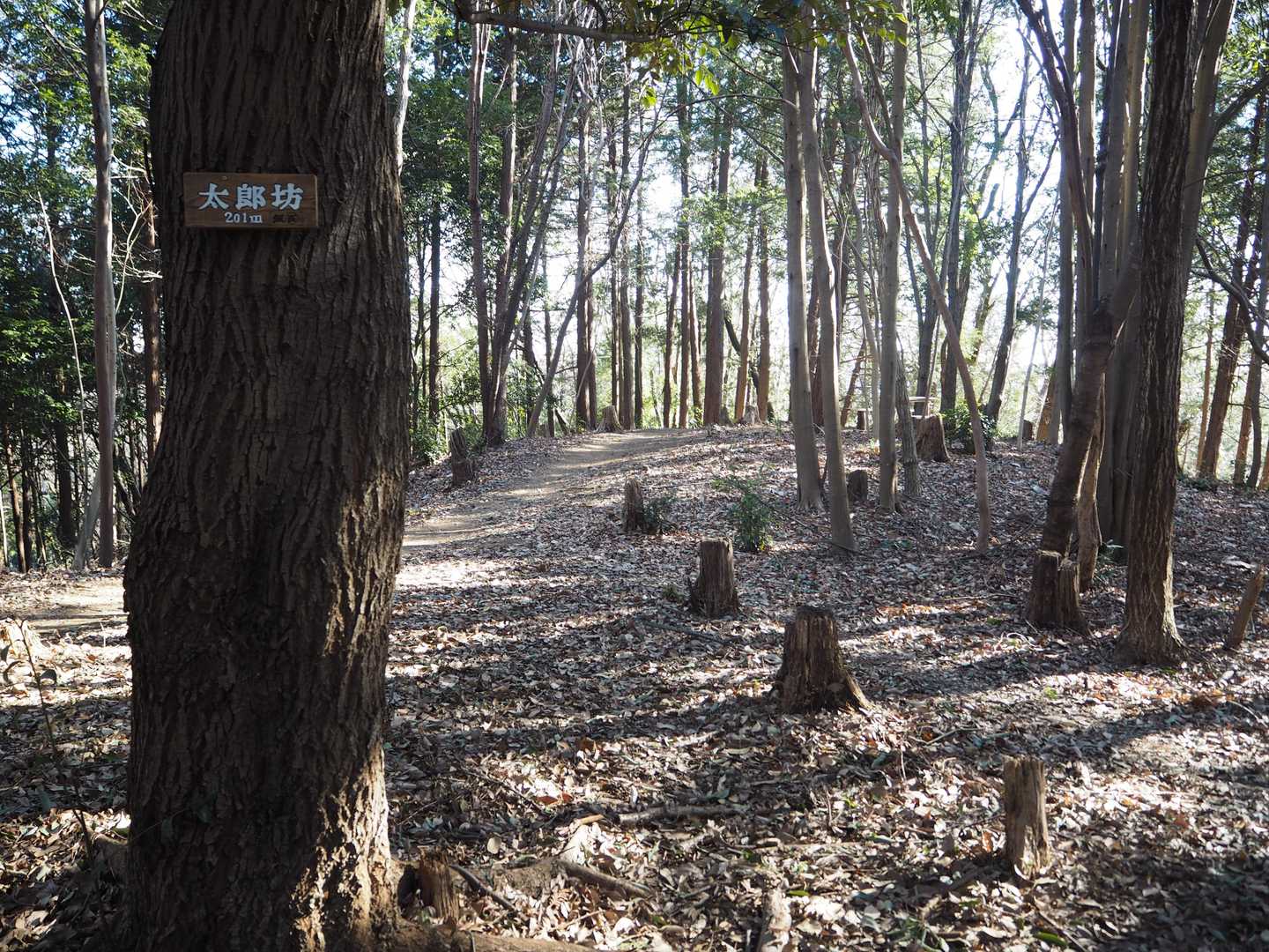「太郎坊」に到着。
ここも特段何もないです。