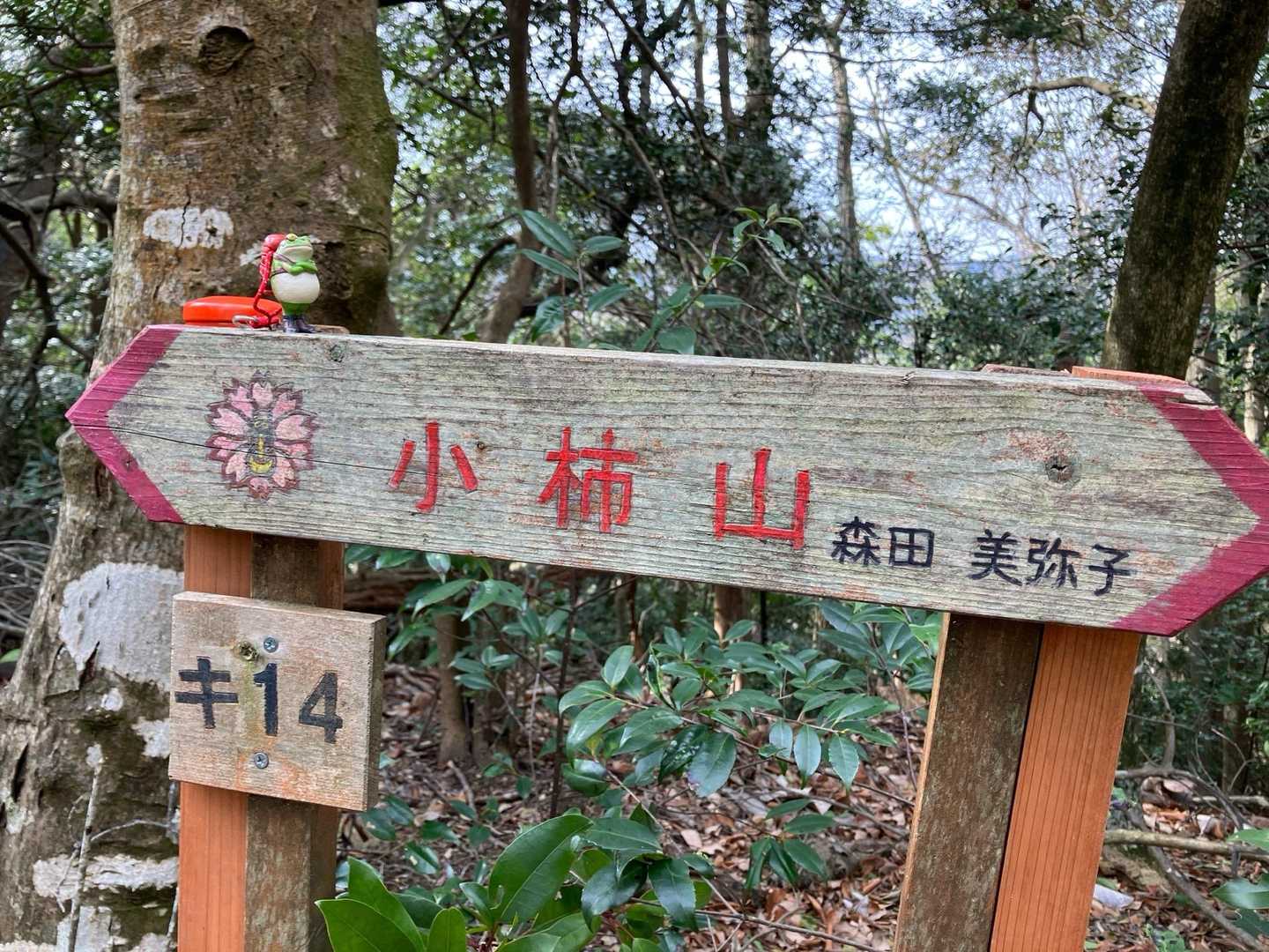 8座目