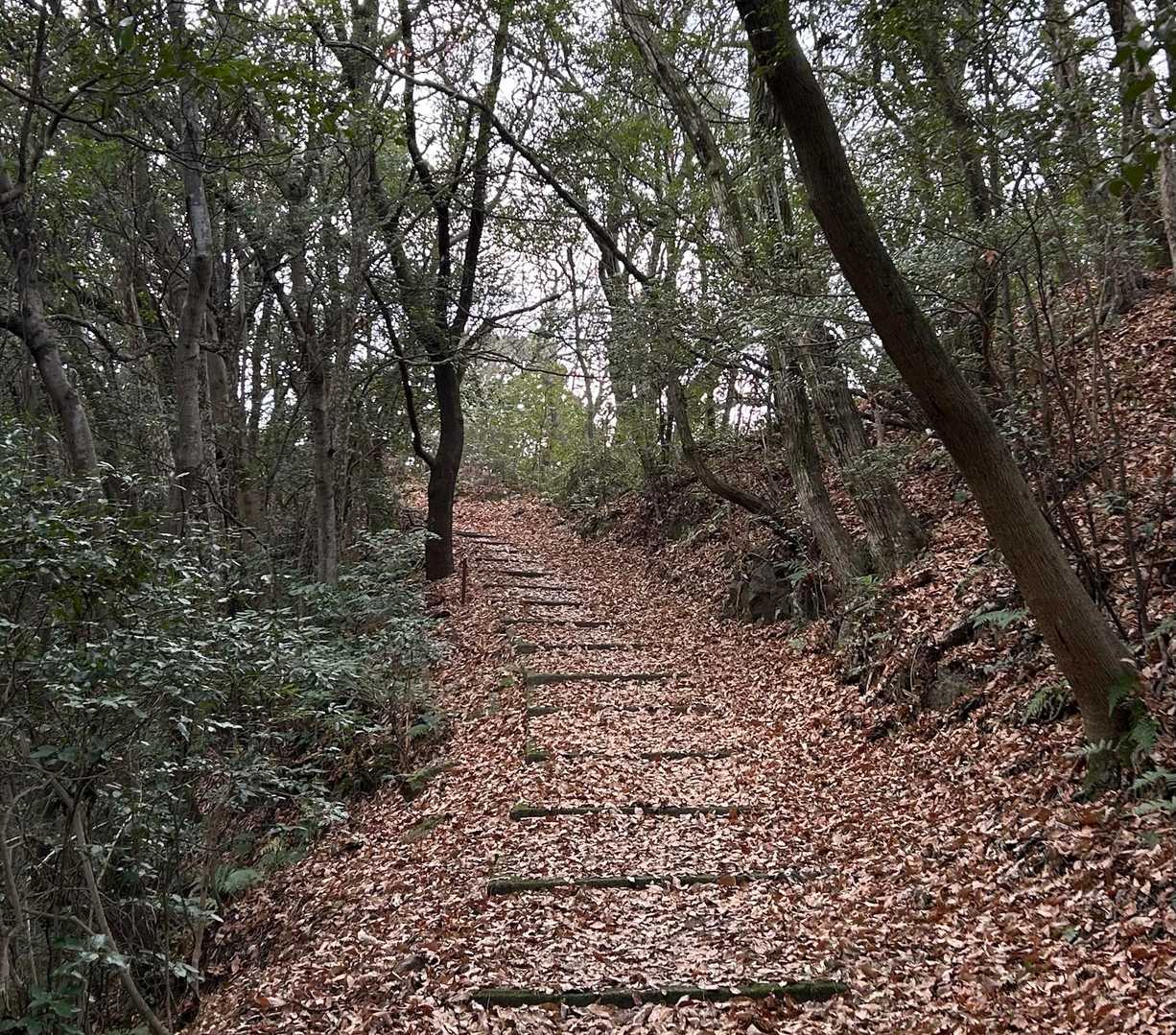 宇曽嶽神社までは
舗装路((´∀｀*))